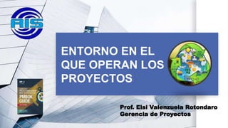 ENTORNO EN EL
QUE OPERAN LOS
PROYECTOS
Prof. Elsi Valenzuela Rotondaro
Gerencia de Proyectos
 