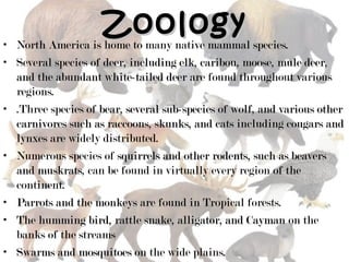 North america ppt | PPT