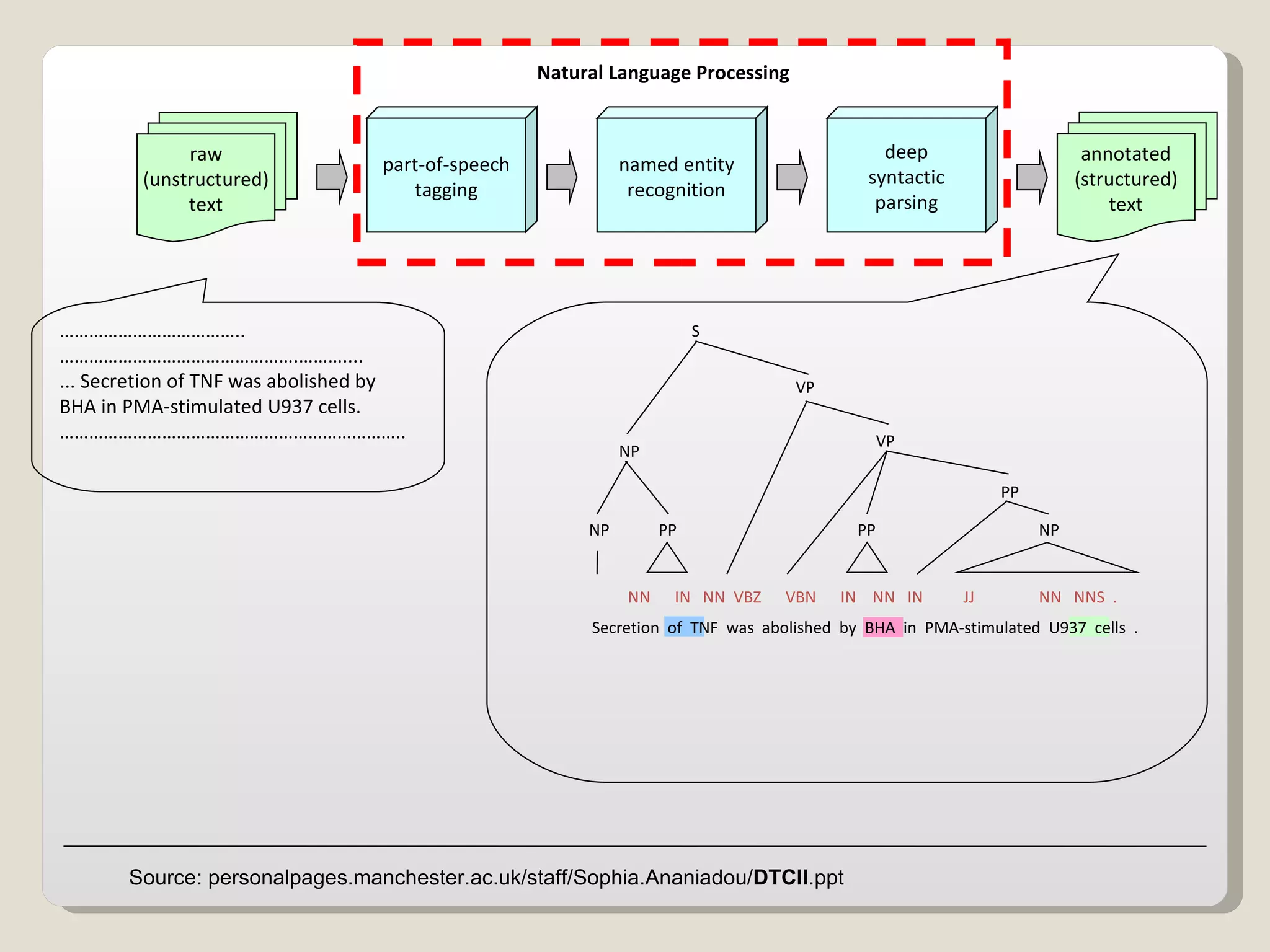 raw (unstructured) text part-of-speech tagging named entity recognition deep syntactic parsing annotated (structured) text Natural Language Processing ……………………………… ..………………………………………….……….... ... Secretion of TNF was abolished by BHA in PMA-stimulated U937 cells.  …………………………………………………………….. Secretion  of  TNF  was  abolished  by  BHA  in  PMA-stimulated  U937  cells  . NN  IN  NN  VBZ  VBN  IN  NN  IN  JJ  NN  NNS  . PP PP NP PP VP VP NP NP S Source: personalpages.manchester.ac.uk/staff/Sophia.Ananiadou/ DTCII .ppt 