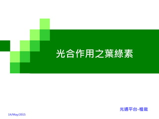 光合作用之葉綠素
14/May/2015
光通平台-植栽
 