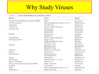 Why Study Viruses
 