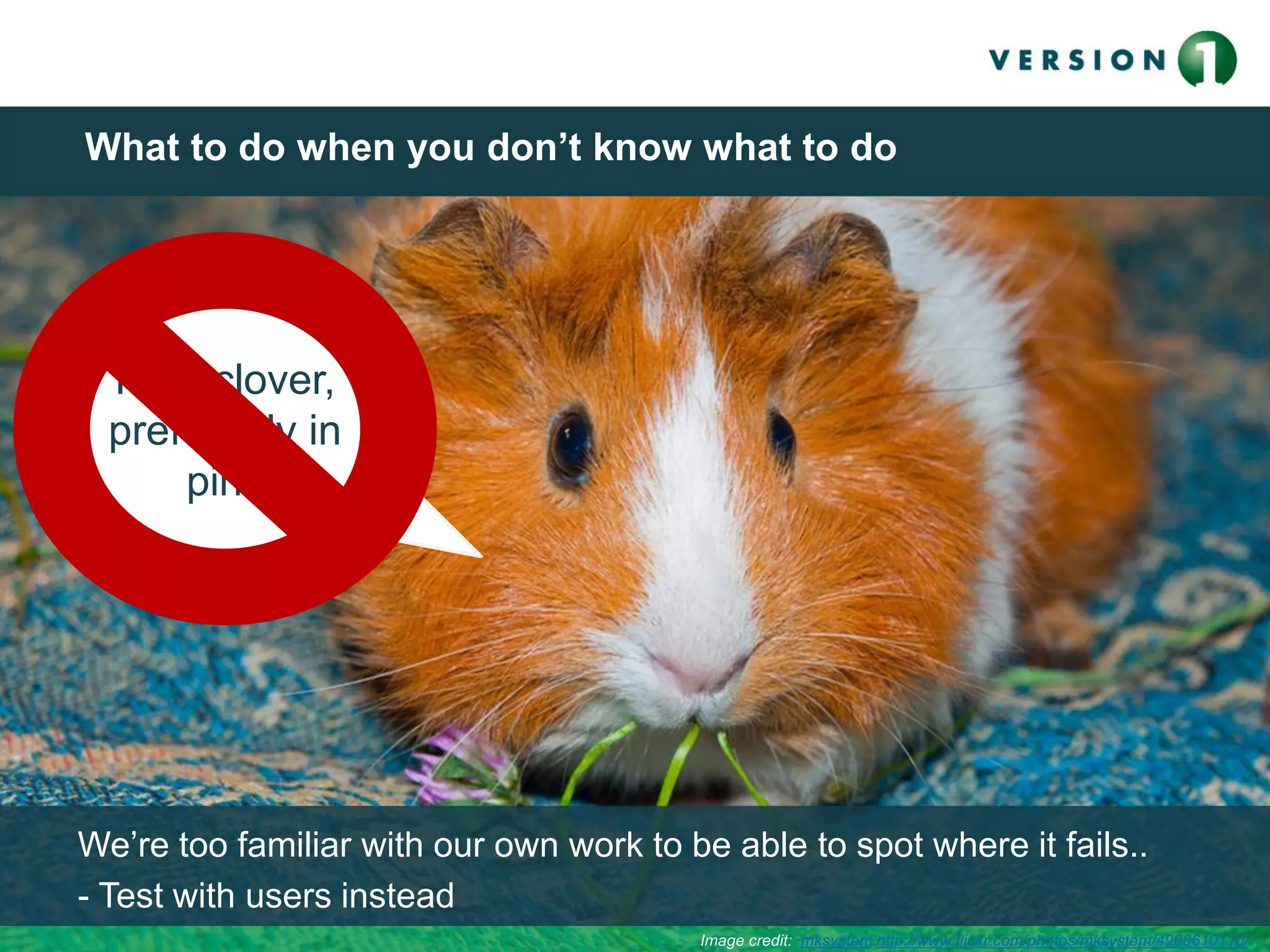 What to do when you don’t know what to do
Image credit: mksystem http://www.flickr.com/photos/mksystem/4900610110/
We’re too familiar with our own work to be able to spot where it fails..
- Test with users instead
I like clover,
preferably in
pink
 