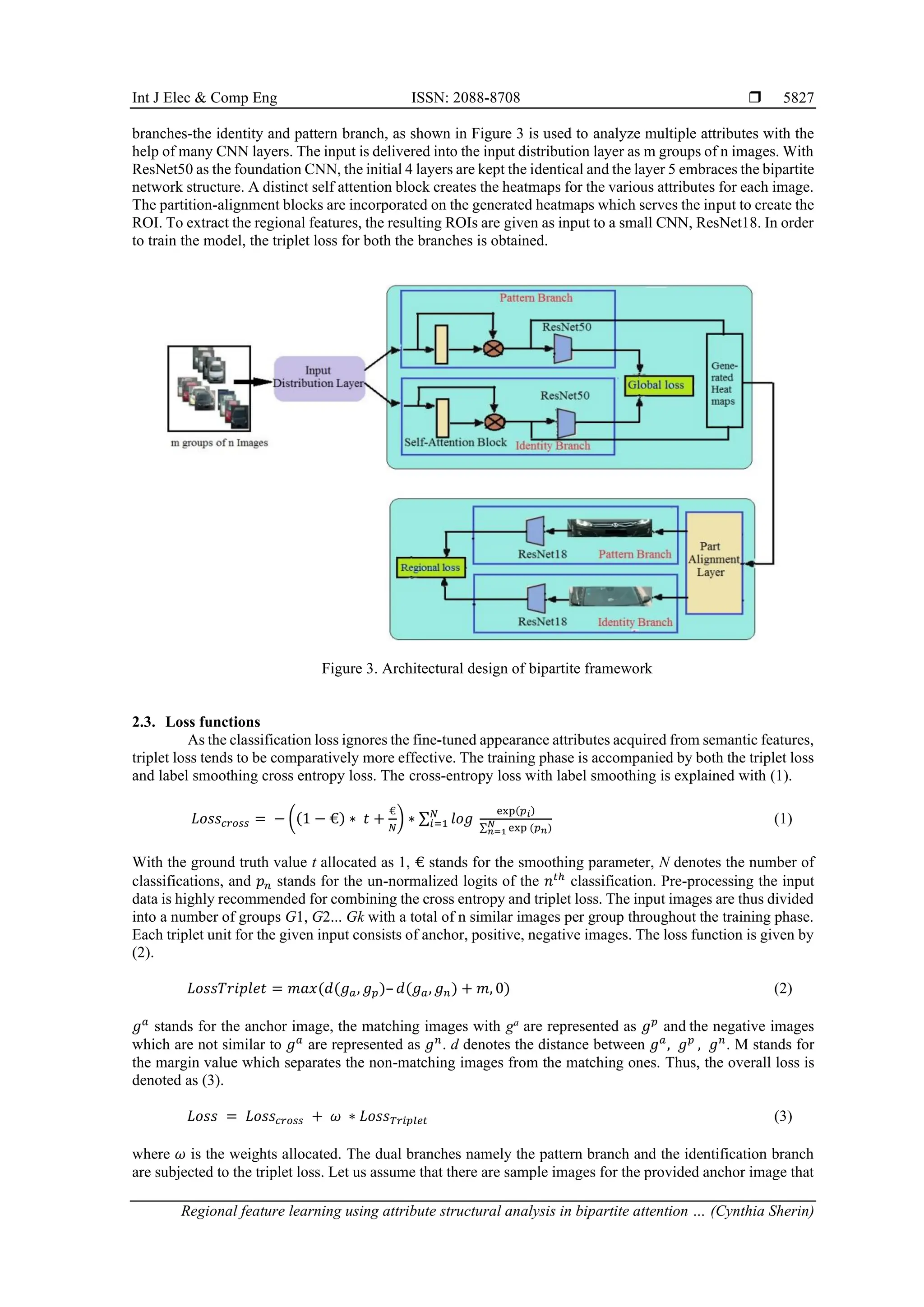 Int J Elec & Comp Eng ISSN: 2088-8708 
Regional feature learning using attribute structural analysis in bipartite attention … (Cynthia Sherin)
5827
branches-the identity and pattern branch, as shown in Figure 3 is used to analyze multiple attributes with the
help of many CNN layers. The input is delivered into the input distribution layer as m groups of n images. With
ResNet50 as the foundation CNN, the initial 4 layers are kept the identical and the layer 5 embraces the bipartite
network structure. A distinct self attention block creates the heatmaps for the various attributes for each image.
The partition-alignment blocks are incorporated on the generated heatmaps which serves the input to create the
ROI. To extract the regional features, the resulting ROIs are given as input to a small CNN, ResNet18. In order
to train the model, the triplet loss for both the branches is obtained.
Figure 3. Architectural design of bipartite framework
2.3. Loss functions
As the classification loss ignores the fine-tuned appearance attributes acquired from semantic features,
triplet loss tends to be comparatively more effective. The training phase is accompanied by both the triplet loss
and label smoothing cross entropy loss. The cross-entropy loss with label smoothing is explained with (1).
𝐿𝑜𝑠𝑠𝑐𝑟𝑜𝑠𝑠 = − ((1 − €) ∗ 𝑡 +
€
𝑁
) ∗ ∑ 𝑙𝑜𝑔
𝑁
𝑖=1
exp(𝑝𝑖)
∑ exp (𝑝𝑛)
𝑁
𝑛=1
(1)
With the ground truth value t allocated as 1, € stands for the smoothing parameter, N denotes the number of
classifications, and 𝑝𝑛 stands for the un-normalized logits of the 𝑛𝑡ℎ
classification. Pre-processing the input
data is highly recommended for combining the cross entropy and triplet loss. The input images are thus divided
into a number of groups G1, G2... Gk with a total of n similar images per group throughout the training phase.
Each triplet unit for the given input consists of anchor, positive, negative images. The loss function is given by
(2).
𝐿𝑜𝑠𝑠𝑇𝑟𝑖𝑝𝑙𝑒𝑡 = 𝑚𝑎𝑥(𝑑(𝑔𝑎, 𝑔𝑝)– 𝑑(𝑔𝑎, 𝑔𝑛) + 𝑚, 0) (2)
𝑔𝑎
stands for the anchor image, the matching images with ga
are represented as 𝑔𝑝
and the negative images
which are not similar to 𝑔𝑎
are represented as 𝑔𝑛
. d denotes the distance between 𝑔𝑎
, 𝑔𝑝
, 𝑔𝑛
. M stands for
the margin value which separates the non-matching images from the matching ones. Thus, the overall loss is
denoted as (3).
𝐿𝑜𝑠𝑠 = 𝐿𝑜𝑠𝑠𝑐𝑟𝑜𝑠𝑠 + 𝜔 ∗ 𝐿𝑜𝑠𝑠𝑇𝑟𝑖𝑝𝑙𝑒𝑡 (3)
where 𝜔 is the weights allocated. The dual branches namely the pattern branch and the identification branch
are subjected to the triplet loss. Let us assume that there are sample images for the provided anchor image that
 