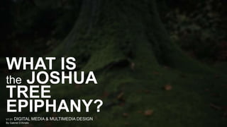 WHAT IS
the JOSHUA
TREE
EPIPHANY?
V1.01 DIGITAL MEDIA & MULTIMEDIA DESIGN
By Gabriel D’Amato
 