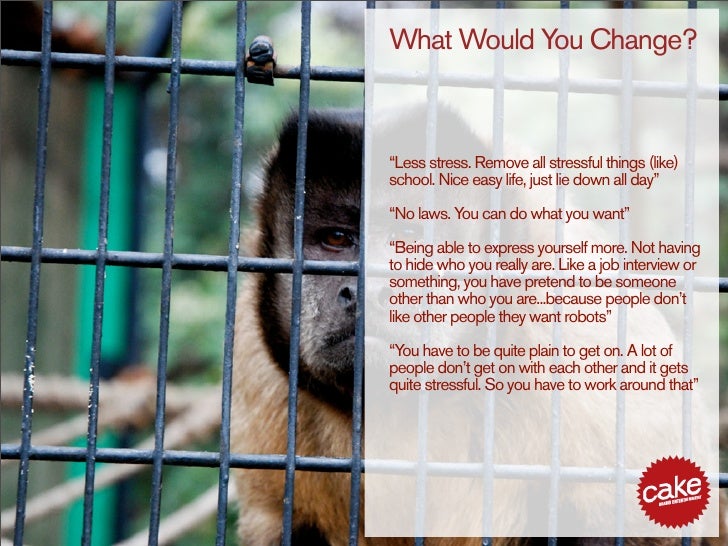 16 24 Year Olds Online - Cake