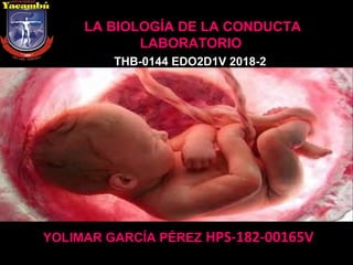 LA BIOLOGÍA DE LA CONDUCTA
LABORATORIO
YOLIMAR GARCÍA PÉREZ HPS-182-00165V
THB-0144 EDO2D1V 2018-2
 