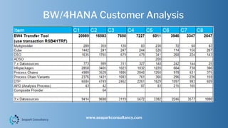 BW/4HANA Customer Analysis
www.seaparkconsultancy.com
 