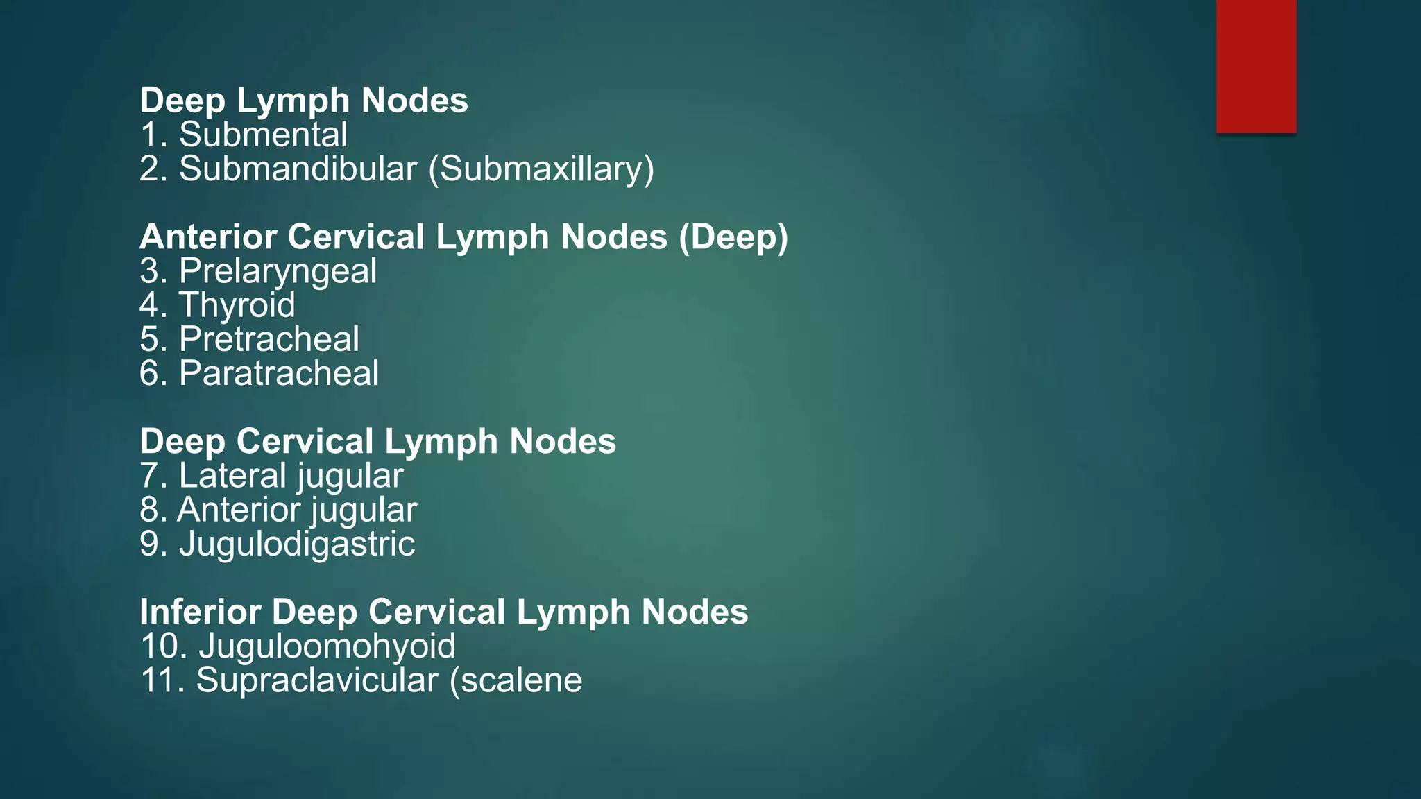 Deep Lymph Nodes
1. Submental
2. Submandibular (Submaxillary)
Anterior Cervical Lymph Nodes (Deep)
3. Prelaryngeal
4. Thyroid
5. Pretracheal
6. Paratracheal
Deep Cervical Lymph Nodes
7. Lateral jugular
8. Anterior jugular
9. Jugulodigastric
Inferior Deep Cervical Lymph Nodes
10. Juguloomohyoid
11. Supraclavicular (scalene
 