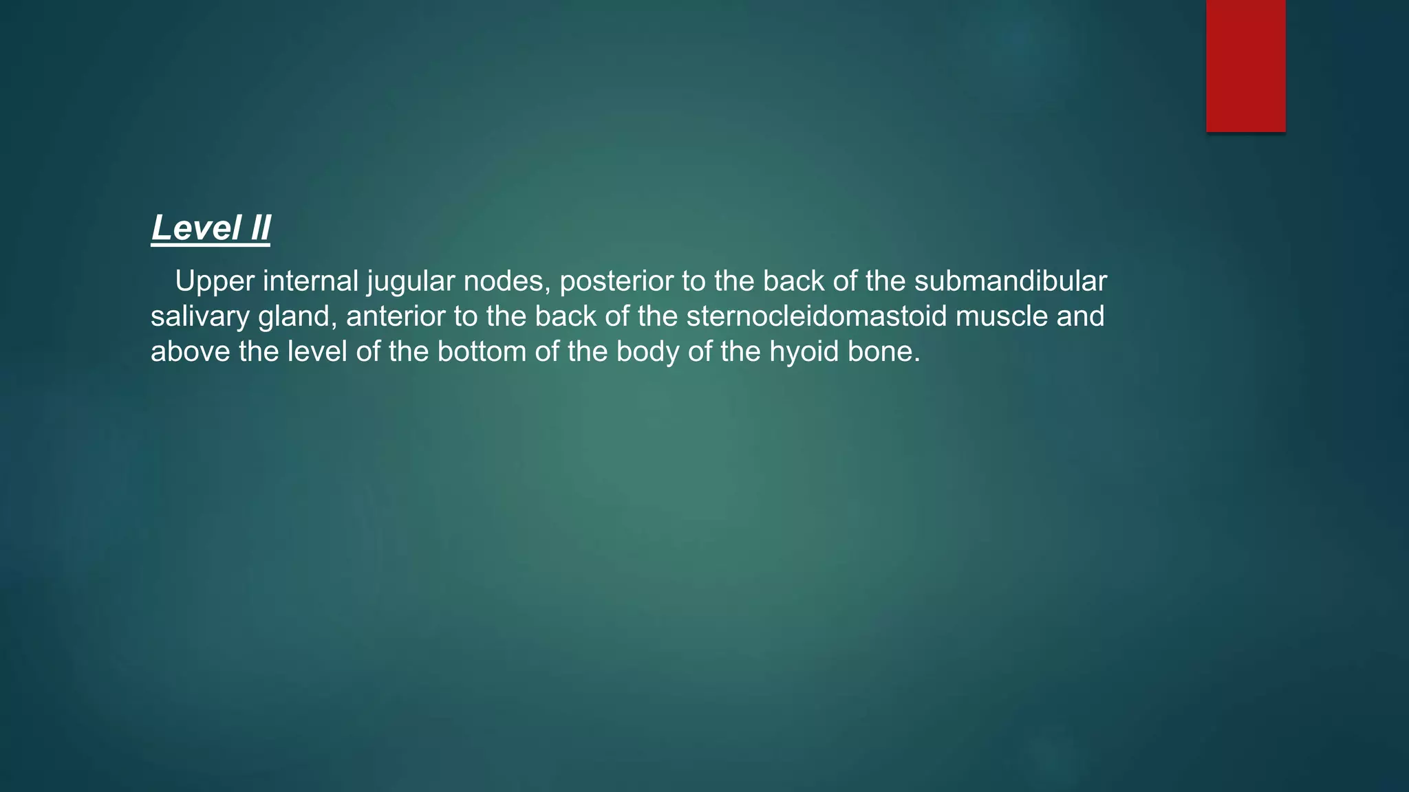 Level II
Upper internal jugular nodes, posterior to the back of the submandibular
salivary gland, anterior to the back of the sternocleidomastoid muscle and
above the level of the bottom of the body of the hyoid bone.
 