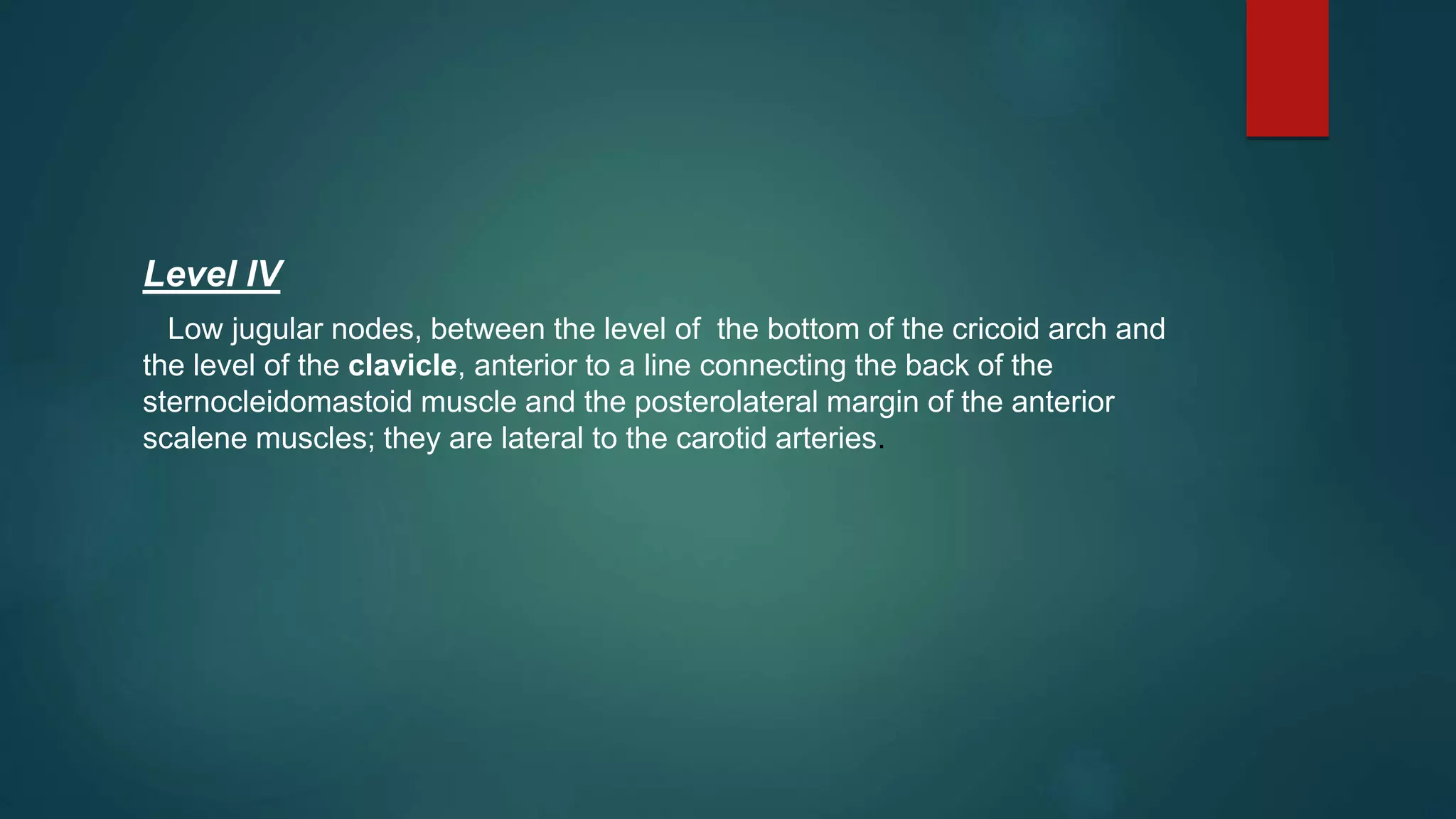 Level IV
Low jugular nodes, between the level of the bottom of the cricoid arch and
the level of the clavicle, anterior to a line connecting the back of the
sternocleidomastoid muscle and the posterolateral margin of the anterior
scalene muscles; they are lateral to the carotid arteries.
 