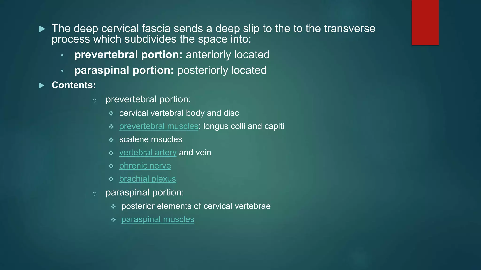  The deep cervical fascia sends a deep slip to the to the transverse
process which subdivides the space into:
• prevertebral portion: anteriorly located
• paraspinal portion: posteriorly located
 Contents:
o prevertebral portion:
 cervical vertebral body and disc
 prevertebral muscles: longus colli and capiti
 scalene msucles
 vertebral artery and vein
 phrenic nerve
 brachial plexus
o paraspinal portion:
 posterior elements of cervical vertebrae
 paraspinal muscles
 