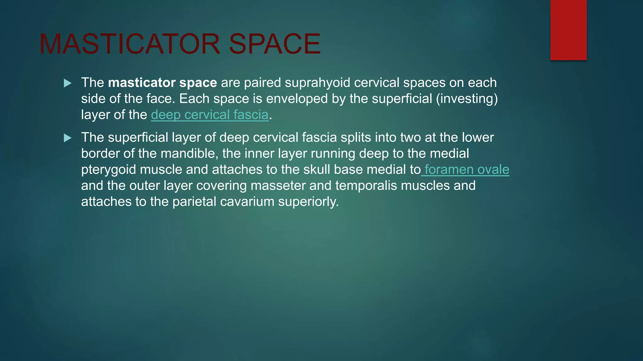 MASTICATOR SPACE
 The masticator space are paired suprahyoid cervical spaces on each
side of the face. Each space is enveloped by the superficial (investing)
layer of the deep cervical fascia.
 The superficial layer of deep cervical fascia splits into two at the lower
border of the mandible, the inner layer running deep to the medial
pterygoid muscle and attaches to the skull base medial to foramen ovale
and the outer layer covering masseter and temporalis muscles and
attaches to the parietal cavarium superiorly.
 