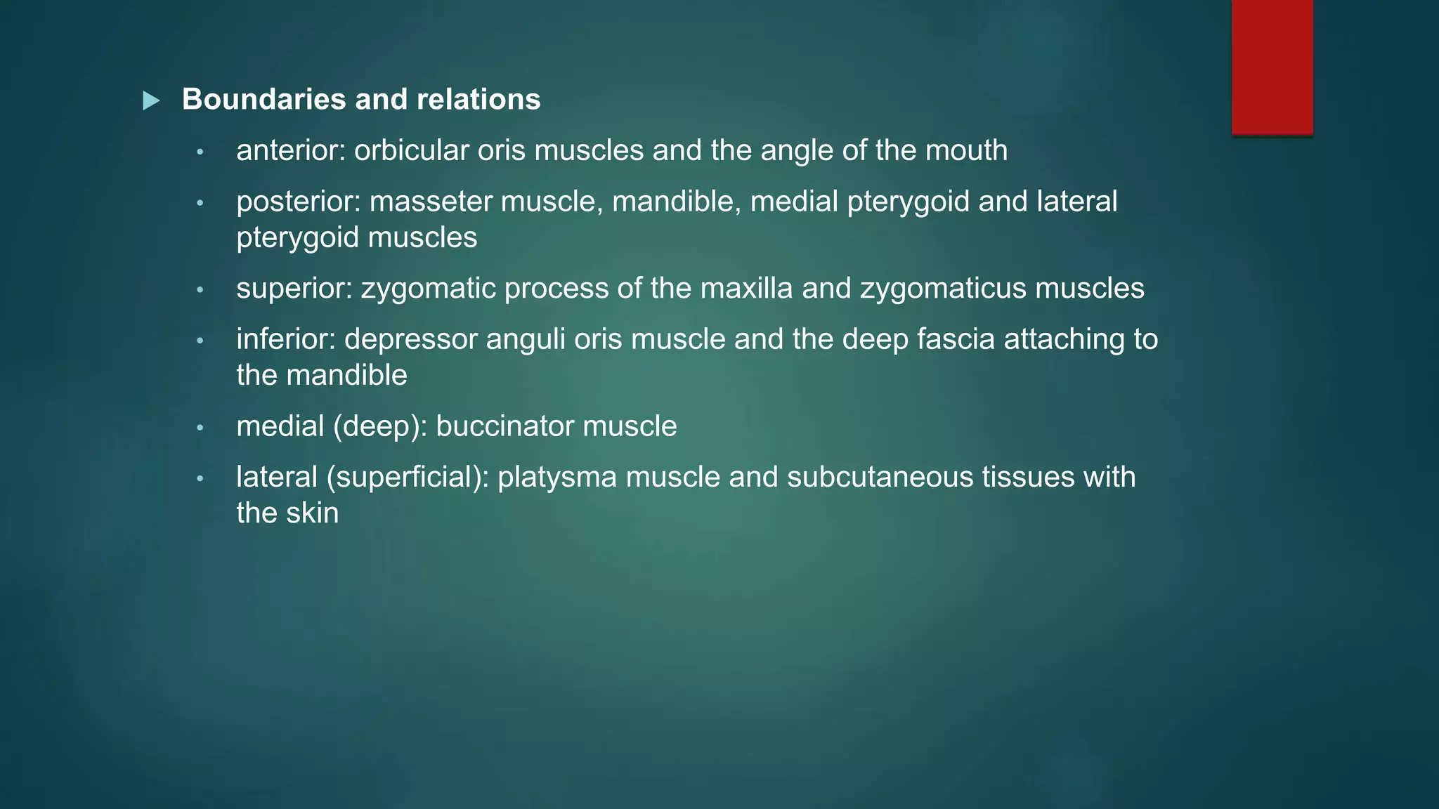  Boundaries and relations
• anterior: orbicular oris muscles and the angle of the mouth
• posterior: masseter muscle, mandible, medial pterygoid and lateral
pterygoid muscles
• superior: zygomatic process of the maxilla and zygomaticus muscles
• inferior: depressor anguli oris muscle and the deep fascia attaching to
the mandible
• medial (deep): buccinator muscle
• lateral (superficial): platysma muscle and subcutaneous tissues with
the skin
 