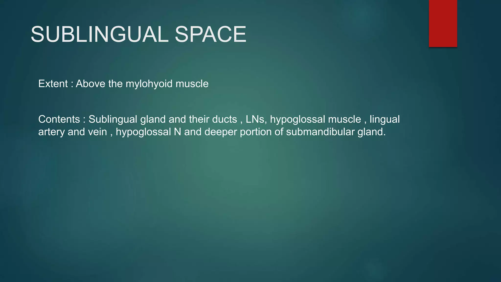 SUBLINGUAL SPACE
Extent : Above the mylohyoid muscle
Contents : Sublingual gland and their ducts , LNs, hypoglossal muscle , lingual
artery and vein , hypoglossal N and deeper portion of submandibular gland.
 
