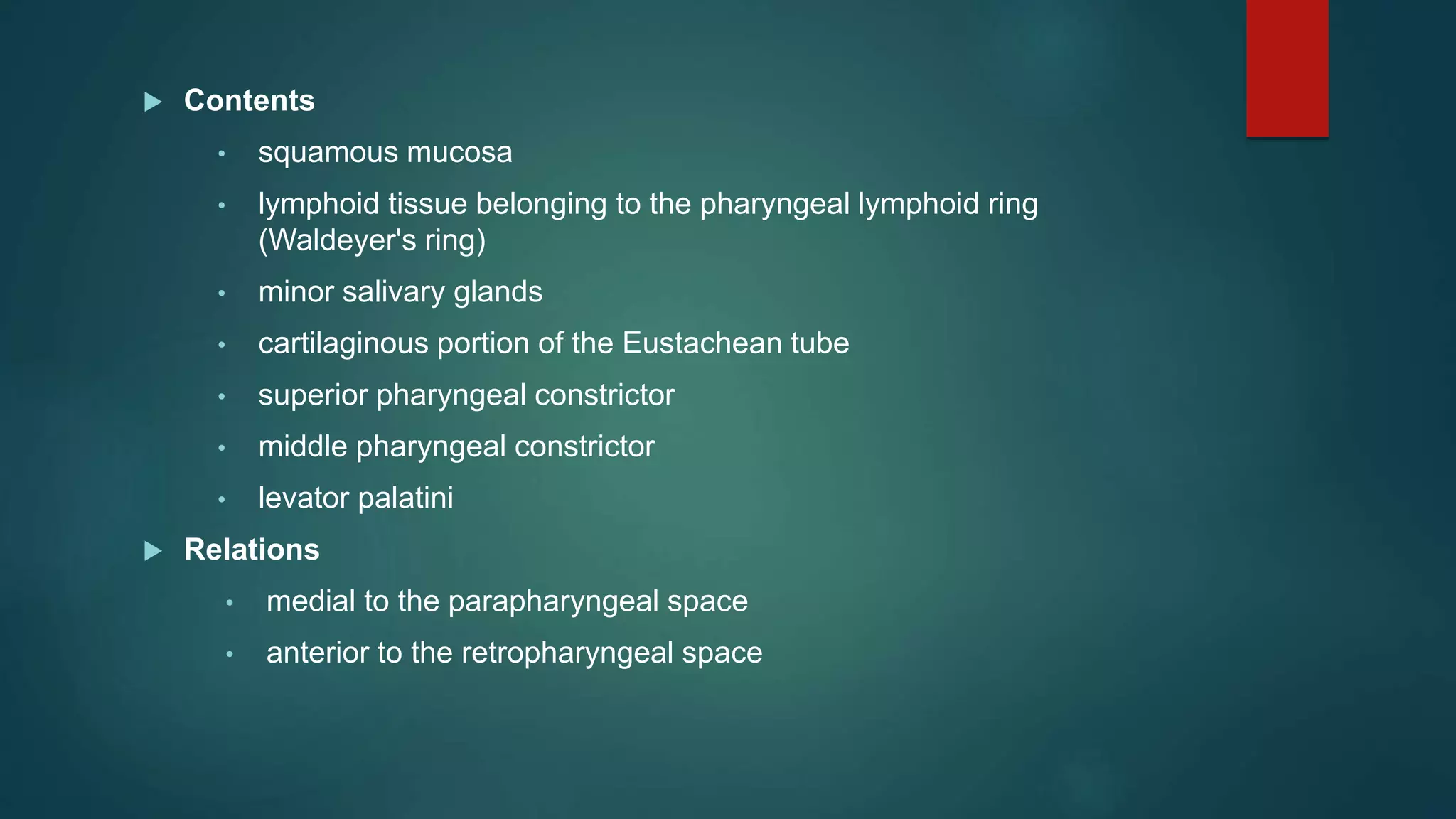  Contents
• squamous mucosa
• lymphoid tissue belonging to the pharyngeal lymphoid ring
(Waldeyer's ring)
• minor salivary glands
• cartilaginous portion of the Eustachean tube
• superior pharyngeal constrictor
• middle pharyngeal constrictor
• levator palatini
 Relations
• medial to the parapharyngeal space
• anterior to the retropharyngeal space
 