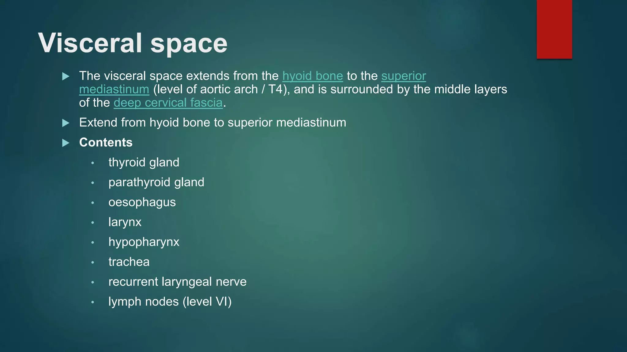 Visceral space
 The visceral space extends from the hyoid bone to the superior
mediastinum (level of aortic arch / T4), and is surrounded by the middle layers
of the deep cervical fascia.
 Extend from hyoid bone to superior mediastinum
 Contents
• thyroid gland
• parathyroid gland
• oesophagus
• larynx
• hypopharynx
• trachea
• recurrent laryngeal nerve
• lymph nodes (level VI)
 