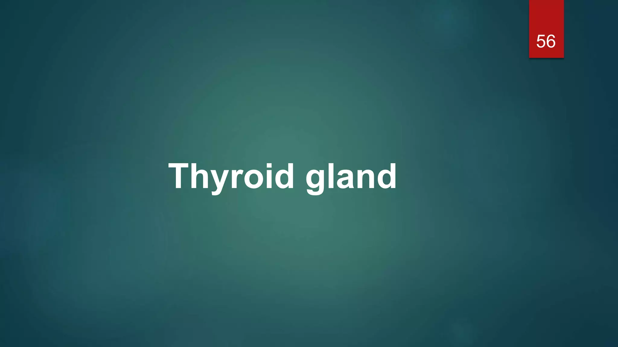 Thyroid gland
56
 