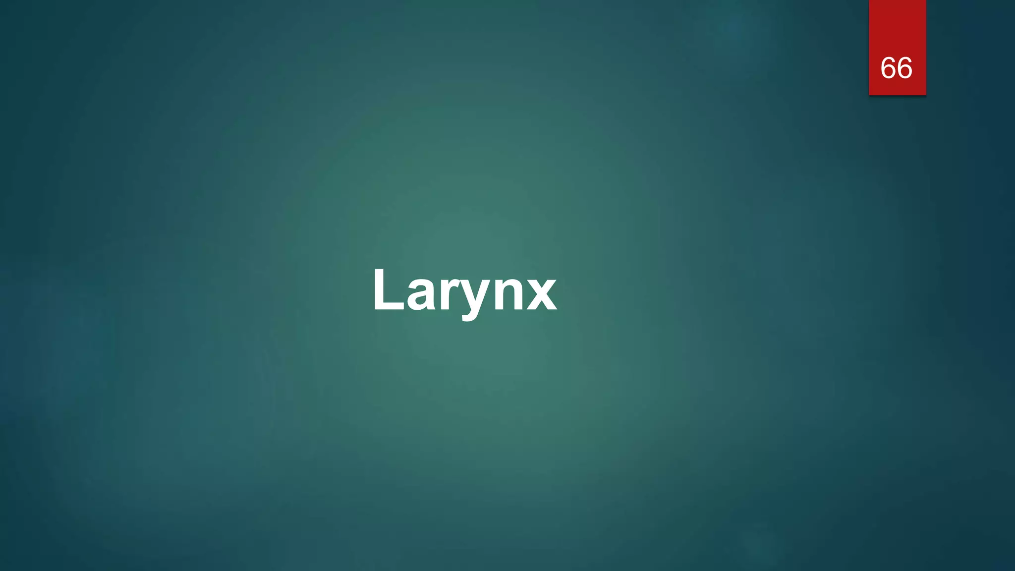 Larynx
66
 