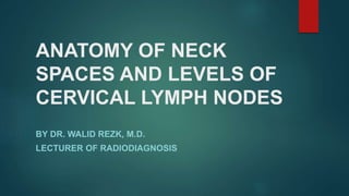 ANATOMY OF NECK
SPACES AND LEVELS OF
CERVICAL LYMPH NODES
BY DR. WALID REZK, M.D.
LECTURER OF RADIODIAGNOSIS
 