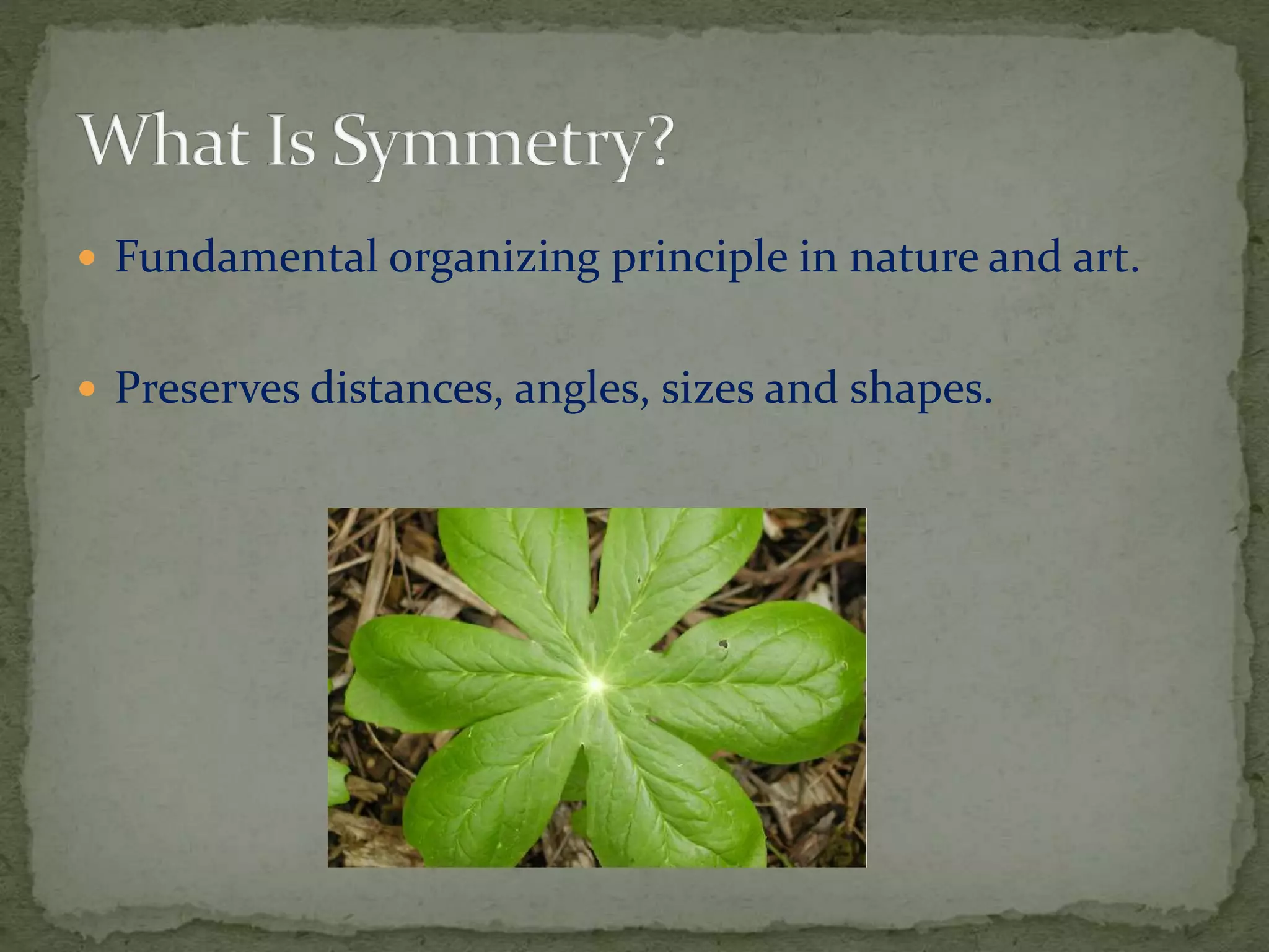  Fundamental organizing principle in nature and art. 
 Preserves distances, angles, sizes and shapes. 
 