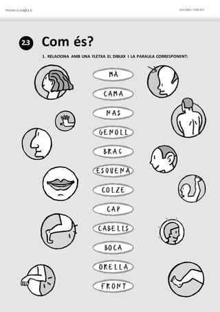 PÀGINA 22 LLIÇÓ 2.3 QUI SÓN / COM ÉS?
2.3 Com és?
1. RELACIONA AMB UNA FLETXA EL DIBUIX I LA PARAULA CORRESPONENT:
 