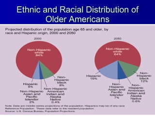 Ethnic and Racial Distribution of Older Americans 