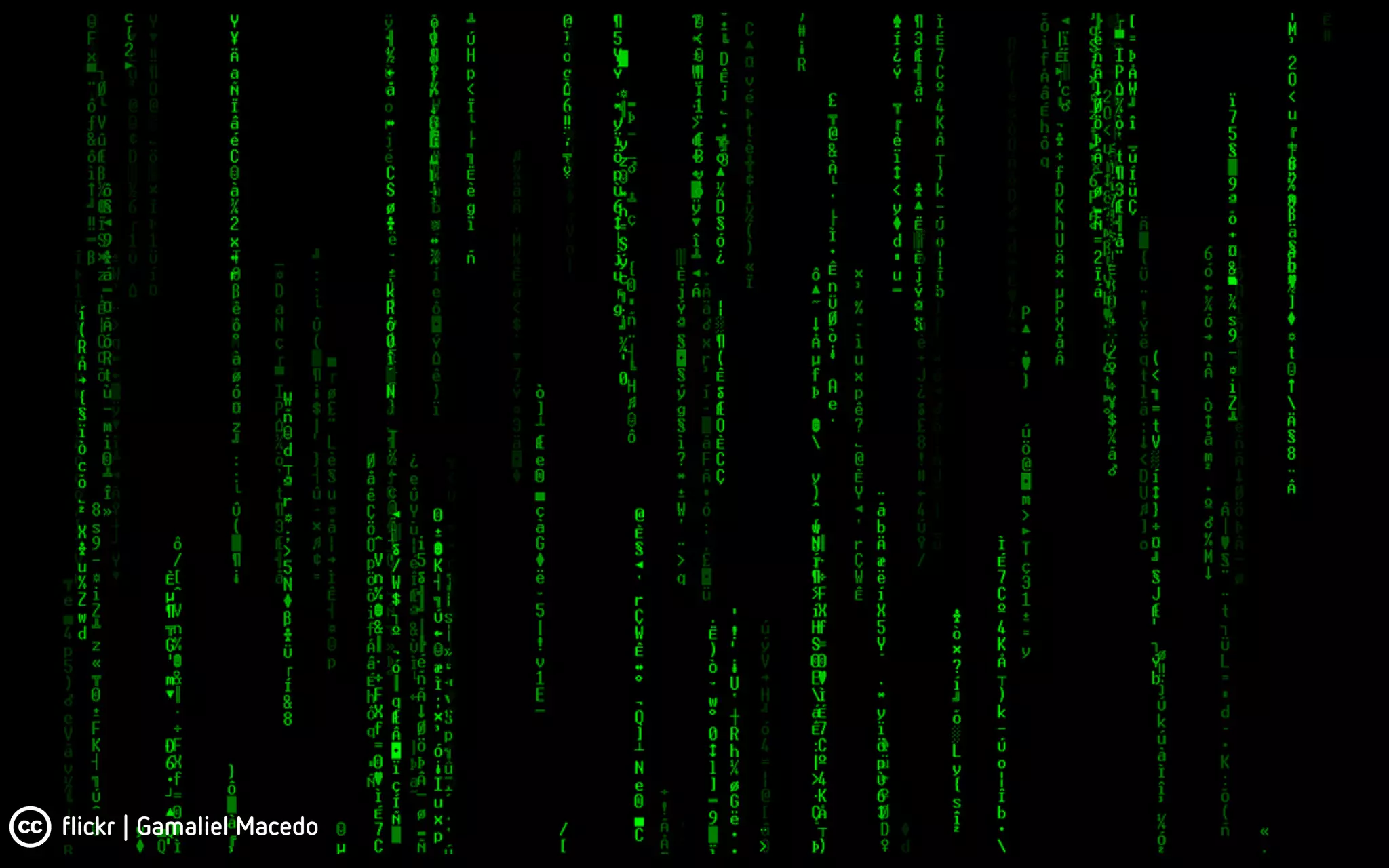 flickr | Gamaliel Macedo