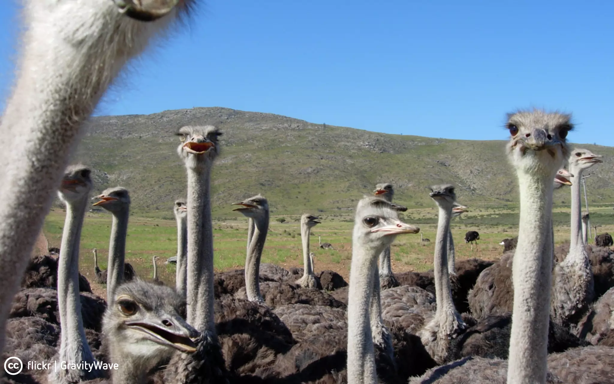 flickr | GravityWave