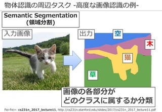 物体認識の周辺タスク -高度な画像認識の例-
Semantic Segmentation
(領域分割)
空
木
草
猫
画像の各部分が
どのクラスに属するか分類
入力画像 出力
Fei-Fei+: cs231n_2017_lecture11, http://cs231n.stanford.edu/slides/2017/cs231n_2017_lecture11.pdf
 