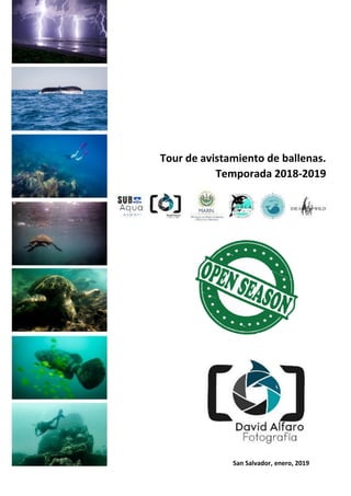 Tour de avistamiento de ballenas.
Temporada 2018-2019
San Salvador, enero, 2019
 