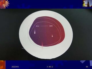 2022/4/5 共 46 頁 84
 