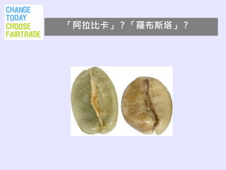 「阿拉比卡」 ? 「羅布斯塔」 ?
 