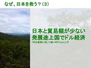 10
なぜ、日本を救う？（３）
日本と貿易額が少ない
発展途上国でドル経済
*円の急落に対して強いポジショニング
 