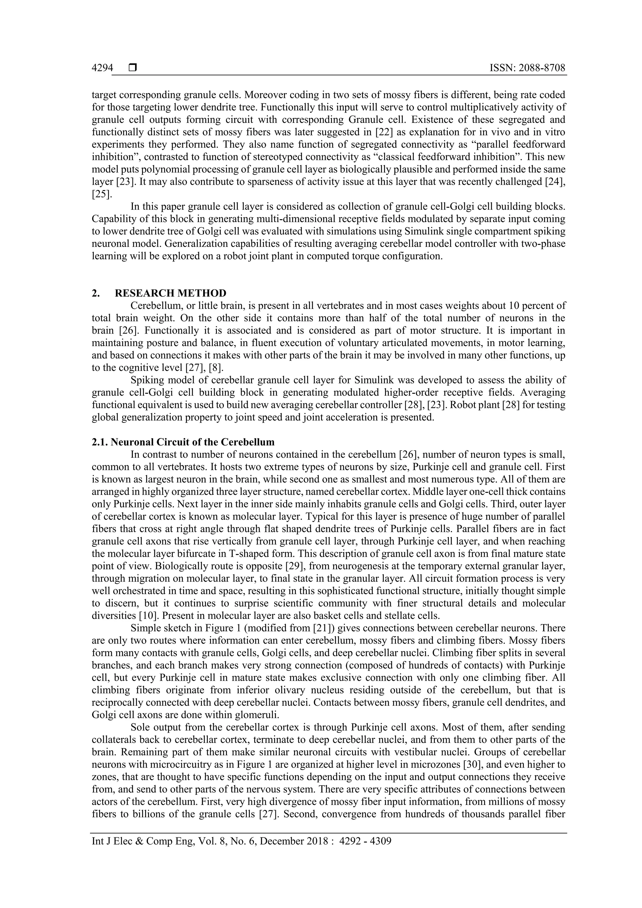  ISSN: 2088-8708
Int J Elec & Comp Eng, Vol. 8, No. 6, December 2018 : 4292 - 4309
4294
target corresponding granule cells. Moreover coding in two sets of mossy fibers is different, being rate coded
for those targeting lower dendrite tree. Functionally this input will serve to control multiplicatively activity of
granule cell outputs forming circuit with corresponding Granule cell. Existence of these segregated and
functionally distinct sets of mossy fibers was later suggested in [22] as explanation for in vivo and in vitro
experiments they performed. They also name function of segregated connectivity as “parallel feedforward
inhibition”, contrasted to function of stereotyped connectivity as “classical feedforward inhibition”. This new
model puts polynomial processing of granule cell layer as biologically plausible and performed inside the same
layer [23]. It may also contribute to sparseness of activity issue at this layer that was recently challenged [24],
[25].
In this paper granule cell layer is considered as collection of granule cell-Golgi cell building blocks.
Capability of this block in generating multi-dimensional receptive fields modulated by separate input coming
to lower dendrite tree of Golgi cell was evaluated with simulations using Simulink single compartment spiking
neuronal model. Generalization capabilities of resulting averaging cerebellar model controller with two-phase
learning will be explored on a robot joint plant in computed torque configuration.
2. RESEARCH METHOD
Cerebellum, or little brain, is present in all vertebrates and in most cases weights about 10 percent of
total brain weight. On the other side it contains more than half of the total number of neurons in the
brain [26]. Functionally it is associated and is considered as part of motor structure. It is important in
maintaining posture and balance, in fluent execution of voluntary articulated movements, in motor learning,
and based on connections it makes with other parts of the brain it may be involved in many other functions, up
to the cognitive level [27], [8].
Spiking model of cerebellar granule cell layer for Simulink was developed to assess the ability of
granule cell-Golgi cell building block in generating modulated higher-order receptive fields. Averaging
functional equivalent is used to build new averaging cerebellar controller [28], [23]. Robot plant [28] for testing
global generalization property to joint speed and joint acceleration is presented.
2.1. Neuronal Circuit of the Cerebellum
In contrast to number of neurons contained in the cerebellum [26], number of neuron types is small,
common to all vertebrates. It hosts two extreme types of neurons by size, Purkinje cell and granule cell. First
is known as largest neuron in the brain, while second one as smallest and most numerous type. All of them are
arranged in highly organized three layer structure, named cerebellar cortex. Middle layer one-cell thick contains
only Purkinje cells. Next layer in the inner side mainly inhabits granule cells and Golgi cells. Third, outer layer
of cerebellar cortex is known as molecular layer. Typical for this layer is presence of huge number of parallel
fibers that cross at right angle through flat shaped dendrite trees of Purkinje cells. Parallel fibers are in fact
granule cell axons that rise vertically from granule cell layer, through Purkinje cell layer, and when reaching
the molecular layer bifurcate in T-shaped form. This description of granule cell axon is from final mature state
point of view. Biologically route is opposite [29], from neurogenesis at the temporary external granular layer,
through migration on molecular layer, to final state in the granular layer. All circuit formation process is very
well orchestrated in time and space, resulting in this sophisticated functional structure, initially thought simple
to discern, but it continues to surprise scientific community with finer structural details and molecular
diversities [10]. Present in molecular layer are also basket cells and stellate cells.
Simple sketch in Figure 1 (modified from [21]) gives connections between cerebellar neurons. There
are only two routes where information can enter cerebellum, mossy fibers and climbing fibers. Mossy fibers
form many contacts with granule cells, Golgi cells, and deep cerebellar nuclei. Climbing fiber splits in several
branches, and each branch makes very strong connection (composed of hundreds of contacts) with Purkinje
cell, but every Purkinje cell in mature state makes exclusive connection with only one climbing fiber. All
climbing fibers originate from inferior olivary nucleus residing outside of the cerebellum, but that is
reciprocally connected with deep cerebellar nuclei. Contacts between mossy fibers, granule cell dendrites, and
Golgi cell axons are done within glomeruli.
Sole output from the cerebellar cortex is through Purkinje cell axons. Most of them, after sending
collaterals back to cerebellar cortex, terminate to deep cerebellar nuclei, and from them to other parts of the
brain. Remaining part of them make similar neuronal circuits with vestibular nuclei. Groups of cerebellar
neurons with microcircuitry as in Figure 1 are organized at higher level in microzones [30], and even higher to
zones, that are thought to have specific functions depending on the input and output connections they receive
from, and send to other parts of the nervous system. There are very specific attributes of connections between
actors of the cerebellum. First, very high divergence of mossy fiber input information, from millions of mossy
fibers to billions of the granule cells [27]. Second, convergence from hundreds of thousands parallel fiber
 