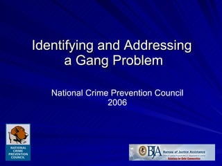 Identifying and Addressing  a Gang Problem National Crime Prevention Council 2006 