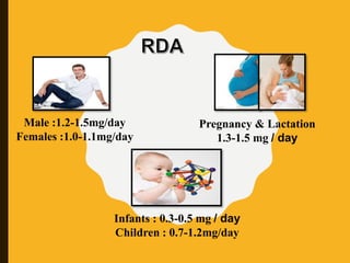 Male :1.2-1.5mg/day
Females :1.0-1.1mg/day
Infants : 0.3-0.5 mg / day
Children : 0.7-1.2mg/day
Pregnancy & Lactation
1.3-1.5 mg / day
 
