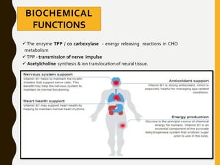 BIOCHEMICAL
FUNCTIONS
The enzyme TPP / co carboxylase - energy releasing reactions in CHO
metabolism
TPP - transmission of nerve impulse
 Acetylcholine synthesis & ion translocation of neural tissue.
 