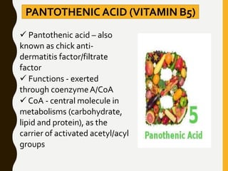 PANTOTHENIC ACID (VITAMIN B5)
 Pantothenic acid – also
known as chick anti-
dermatitis factor/filtrate
factor
 Functions - exerted
through coenzymeA/CoA
 CoA - central molecule in
metabolisms (carbohydrate,
lipid and protein), as the
carrier of activated acetyl/acyl
groups
 