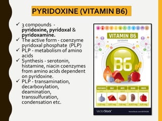 PYRIDOXINE (VITAMIN B6)
 3 compounds -
pyridoxine, pyridoxal &
pyridoxamine.
 The active form - coenzyme
pyridoxal phosphate (PLP)
 PLP - metabolism of amino
acids
 Synthesis - serotonin,
histamine, niacin coenzymes
from amino acids dependent
on pyridoxine.
 PLP - transamination,
decarboxylation,
deamination,
transsulfuration,
condensation etc.
 