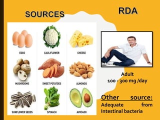 Adult
100 - 300 mg /day
Other source:
Adequate from
Intestinal bacteria
 