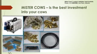 MISTER COWS – is the best investment
into your cows
Mister Cows™ contact: Adelaide, South Australia.
Phone: +61 498049808. Ivan Perov, director.
 