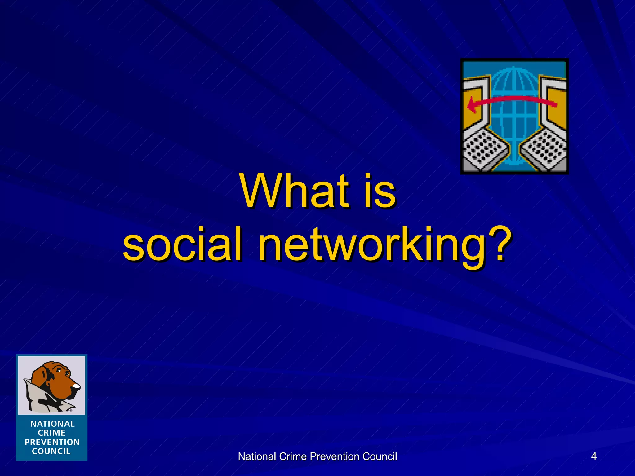 What is social networking? 