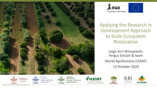 Transforming Lives and Landscapes with Trees
Applying the Research in
Development Approach
to Scale Ecosystem
Restoration
Leigh Ann Winowiecki,
Fergus Sinclair & team
World Agroforestry (ICRAF)
13 October 2020
photo: Kelvin Trautman
Photo: Kelvin Trautman
 