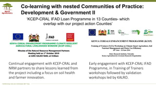 Applying the research in development approach to scale ecosystem restoration