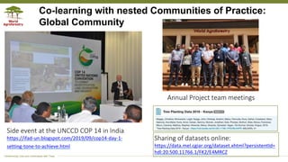 Applying the research in development approach to scale ecosystem restoration