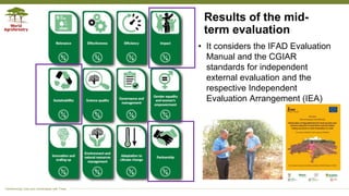Applying the research in development approach to scale ecosystem restoration