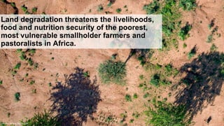 Applying the research in development approach to scale ecosystem restoration