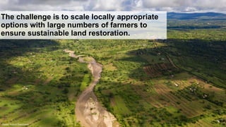 Applying the research in development approach to scale ecosystem restoration