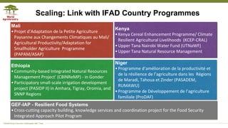 Applying the research in development approach to scale ecosystem restoration