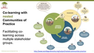 Applying the research in development approach to scale ecosystem restoration